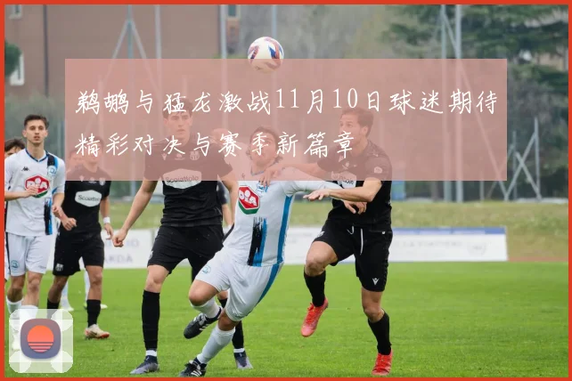 鹈鹕与猛龙激战11月10日球迷期待精彩对决与赛季新篇章