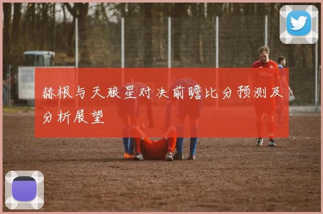 赫根与天狼星对决前瞻比分预测及分析展望