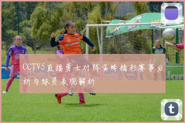 CCTV5直播勇士对阵黄蜂精彩赛事分析与球员表现解析