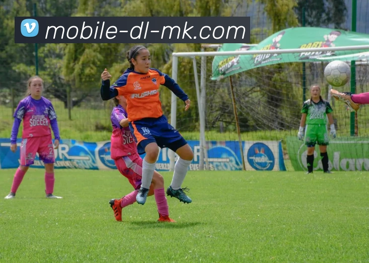 MK体育平台生态图